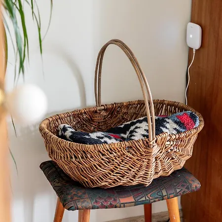 Bohemian In Paupys By Reside Baltic *